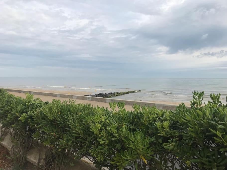 Vue Exceptionnelle En Front De Mer, 8 Personnes Ver-sur-Mer Ngoại thất bức ảnh